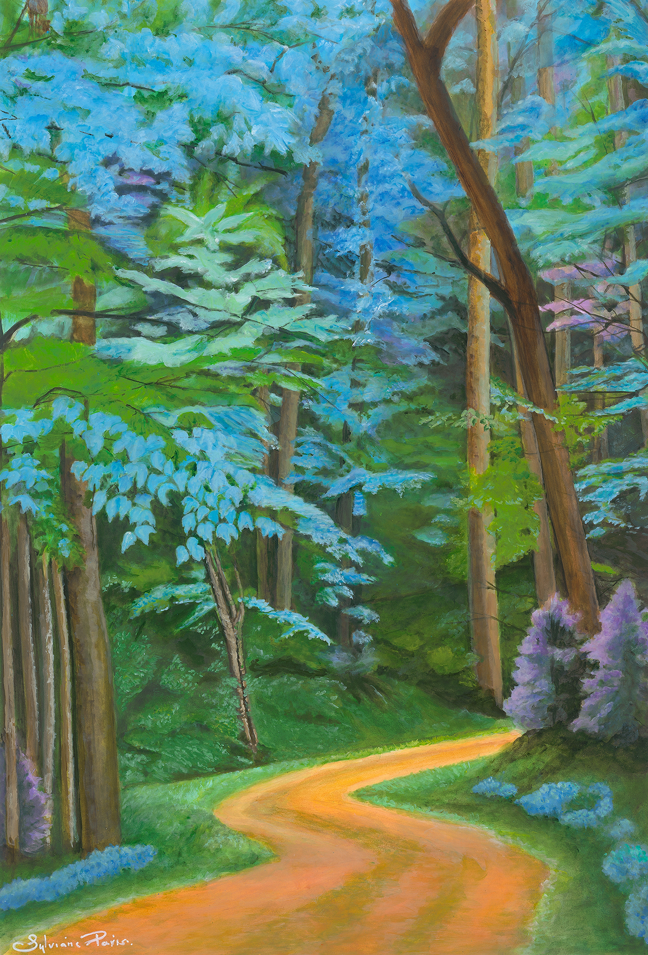 The Path of Wonder — Sylviane Paris